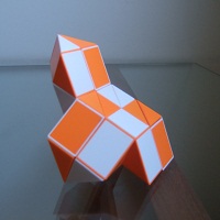 Foca Rubik's Twist